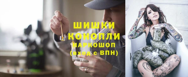 сатива Няндома