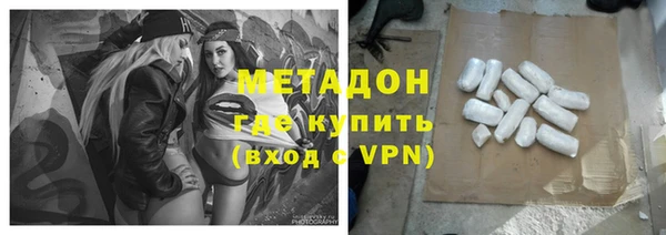 сатива Няндома