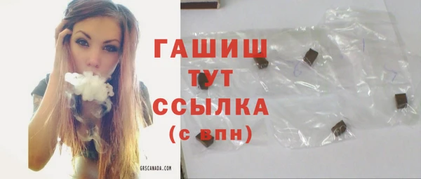 сатива Няндома