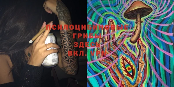 сатива Няндома