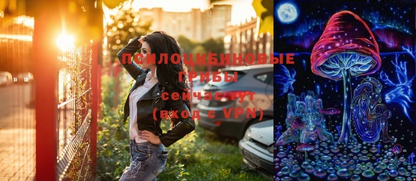 крисы Нязепетровск