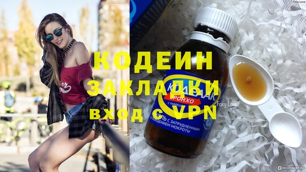 сатива Няндома