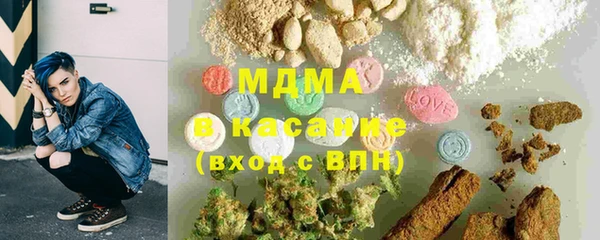 сатива Няндома