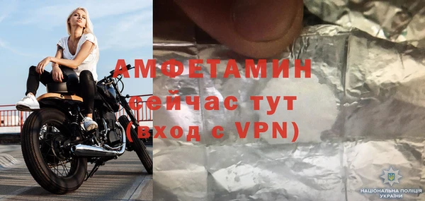 сатива Няндома