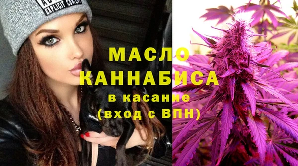 сатива Няндома