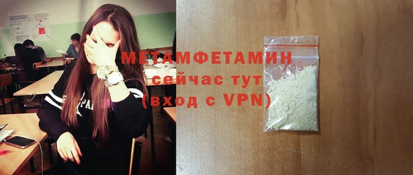 сатива Няндома